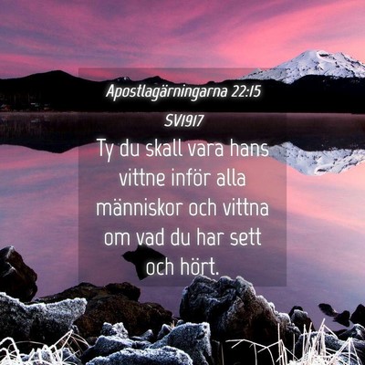 Picture 04 - Apostlagärningarna 22:15 SV1917 - Ty du skall vara hans vittne inför alla - Bible Verse Picture