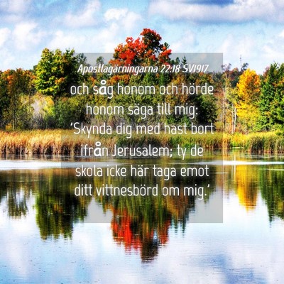 Picture 04 - Apostlagärningarna 22:18 SV1917 - och såg honom och hörde honom säga till mig: - Bible Verse Picture