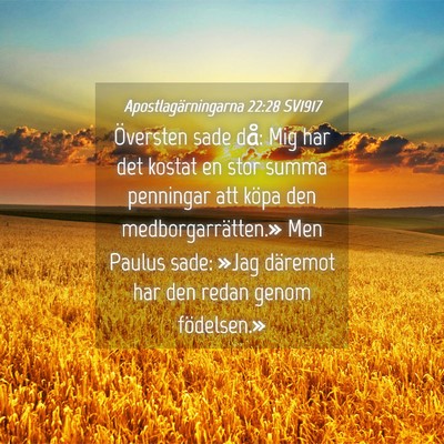 Picture 04 - Apostlagärningarna 22:28 SV1917 - Översten sade då: Mig har det kostat en stor - Bible Verse Picture