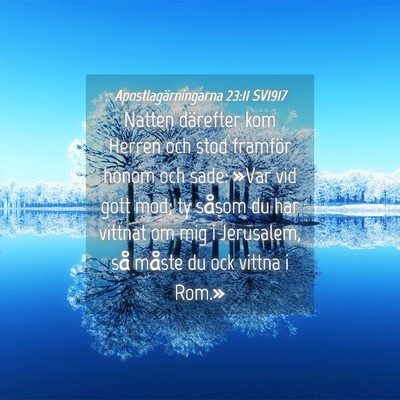 Picture 04 - Apostlagärningarna 23:11 SV1917 - Natten därefter kom Herren och stod framför - Bible Verse Picture