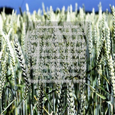 Picture 04 - Apostlagärningarna 23:15 SV1917 - Så mån I nu, tillsammans med Rådet, hemställa - Bible Verse Picture