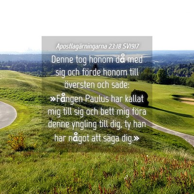 Picture 04 - Apostlagärningarna 23:18 SV1917 - Denne tog honom då med sig och förde honom till - Bible Verse Picture