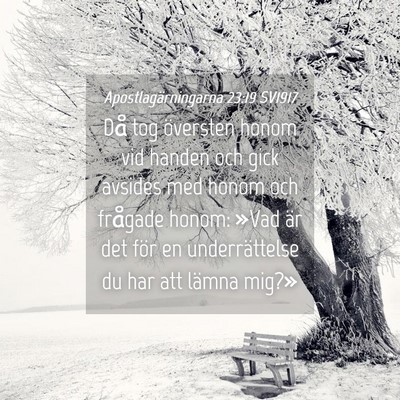 Picture 04 - Apostlagärningarna 23:19 SV1917 - Då tog översten honom vid handen och gick - Bible Verse Picture