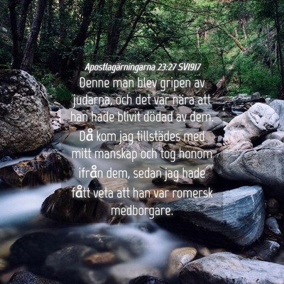 Picture 04 - Apostlagärningarna 23:27 SV1917 - Denne man blev gripen av judarna, och det var - Bible Verse Picture