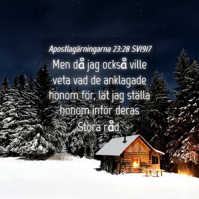 Picture 04 - Apostlagärningarna 23:28 SV1917 - Men då jag också ville veta vad de anklagade - Bible Verse Picture