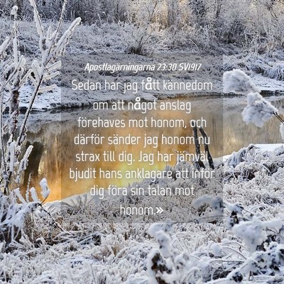 Picture 04 - Apostlagärningarna 23:30 SV1917 - Sedan har jag fått kännedom om att något - Bible Verse Picture