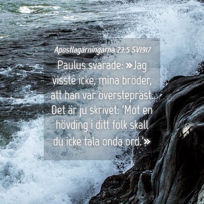 Picture 04 - Apostlagärningarna 23:5 SV1917 - Paulus svarade: »Jag visste icke, mina bröder, - Bible Verse Picture