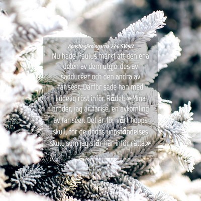 Picture 04 - Apostlagärningarna 23:6 SV1917 - Nu hade Paulus märkt att den ena delen av dem - Bible Verse Picture