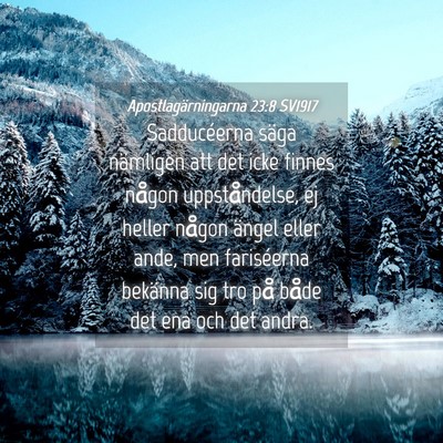 Picture 04 - Apostlagärningarna 23:8 SV1917 - Sadducéerna säga nämligen att det icke finnes - Bible Verse Picture