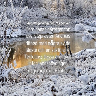 Picture 04 - Apostlagärningarna 24:1 SV1917 - Fem dagar därefter for översteprästen Ananias - Bible Verse Picture