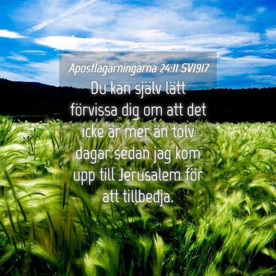 Picture 04 - Apostlagärningarna 24:11 SV1917 - Du kan själv lätt förvissa dig om att det icke - Bible Verse Picture
