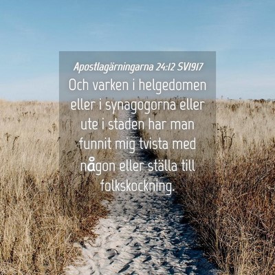 Picture 04 - Apostlagärningarna 24:12 SV1917 - Och varken i helgedomen eller i synagogorna eller - Bible Verse Picture