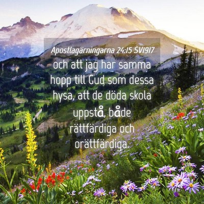 Picture 04 - Apostlagärningarna 24:15 SV1917 - och att jag har samma hopp till Gud som dessa - Bible Verse Picture