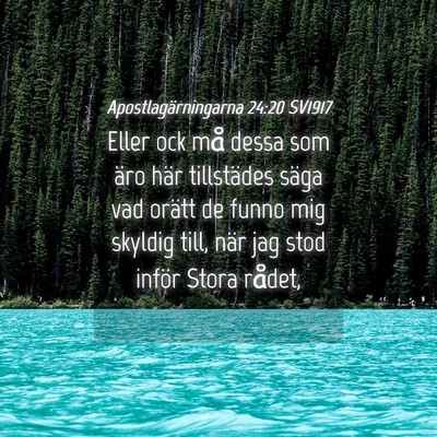 Picture 04 - Apostlagärningarna 24:20 SV1917 - Eller ock må dessa som äro här tillstädes - Bible Verse Picture