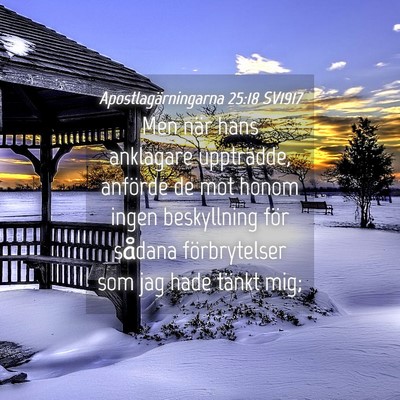 Picture 04 - Apostlagärningarna 25:18 SV1917 - Men när hans anklagare uppträdde, anförde de - Bible Verse Picture