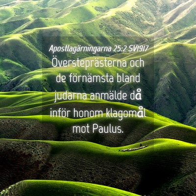 Picture 04 - Apostlagärningarna 25:2 SV1917 - Översteprästerna och de förnämsta bland - Bible Verse Picture