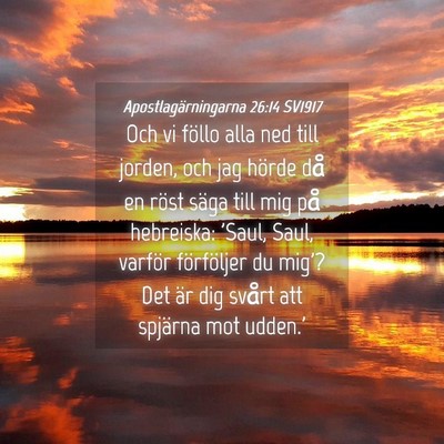 Picture 04 - Apostlagärningarna 26:14 SV1917 - Och vi föllo alla ned till jorden, och jag - Bible Verse Picture