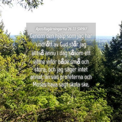 Picture 04 - Apostlagärningarna 26:22 SV1917 - Genom den hjälp som jag har undfått av Gud - Bible Verse Picture