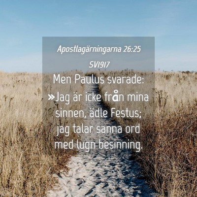 Picture 04 - Apostlagärningarna 26:25 SV1917 - Men Paulus svarade: »Jag är icke från mina - Bible Verse Picture