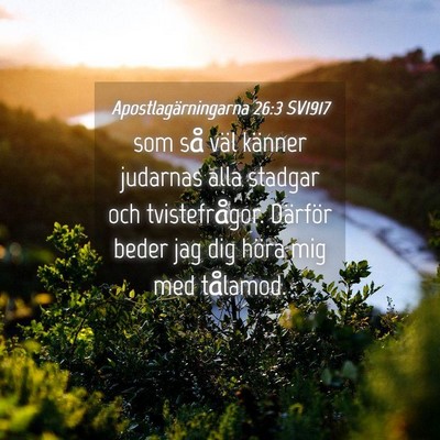 Picture 04 - Apostlagärningarna 26:3 SV1917 - som så väl känner judarnas alla stadgar och - Bible Verse Picture