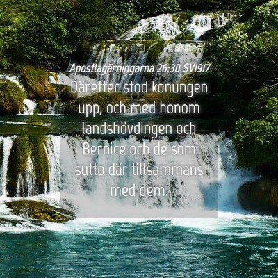 Picture 04 - Apostlagärningarna 26:30 SV1917 - Därefter stod konungen upp, och med honom - Bible Verse Picture