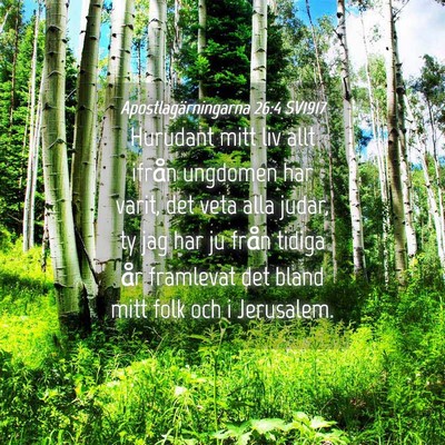 Picture 04 - Apostlagärningarna 26:4 SV1917 - Hurudant mitt liv allt ifrån ungdomen har varit, - Bible Verse Picture
