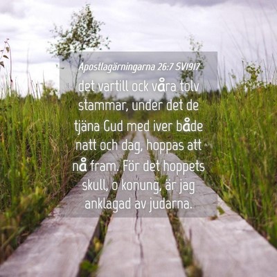 Picture 04 - Apostlagärningarna 26:7 SV1917 - det vartill ock våra tolv stammar, under det de - Bible Verse Picture