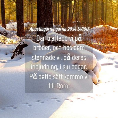 Picture 04 - Apostlagärningarna 28:14 SV1917 - Där träffade vi på bröder, och hos dem - Bible Verse Picture