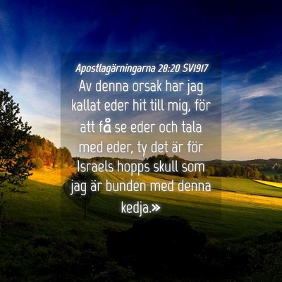 Picture 04 - Apostlagärningarna 28:20 SV1917 - Av denna orsak har jag kallat eder hit till mig, - Bible Verse Picture