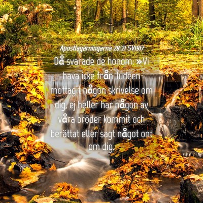 Picture 04 - Apostlagärningarna 28:21 SV1917 - Då svarade de honom: »Vi hava icke från Judeen - Bible Verse Picture