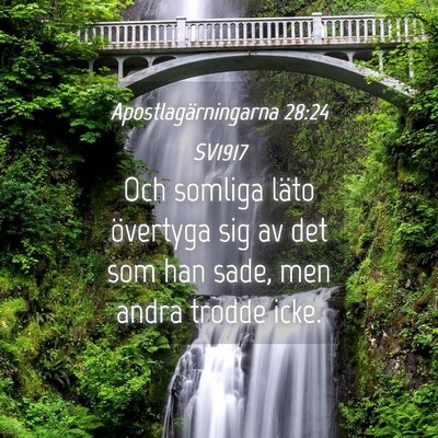 Picture 04 - Apostlagärningarna 28:24 SV1917 - Och somliga läto övertyga sig av det som han - Bible Verse Picture