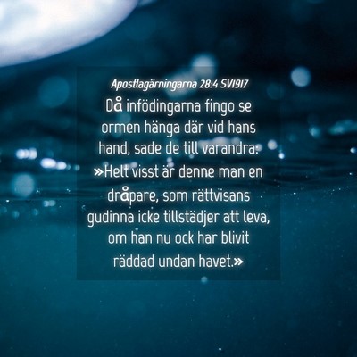 Picture 04 - Apostlagärningarna 28:4 SV1917 - Då infödingarna fingo se ormen hänga där vid - Bible Verse Picture
