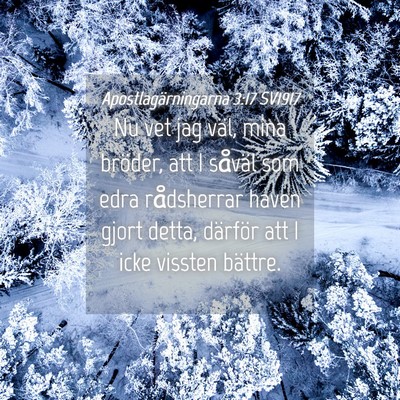 Picture 04 - Apostlagärningarna 3:17 SV1917 - Nu vet jag väl, mina bröder, att I såväl som - Bible Verse Picture
