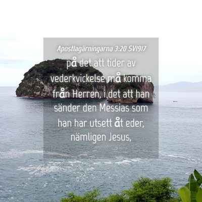 Picture 04 - Apostlagärningarna 3:20 SV1917 - på det att tider av vederkvickelse må komma - Bible Verse Picture