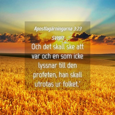 Picture 04 - Apostlagärningarna 3:23 SV1917 - Och det skall ske att var och en som icke lyssnar - Bible Verse Picture
