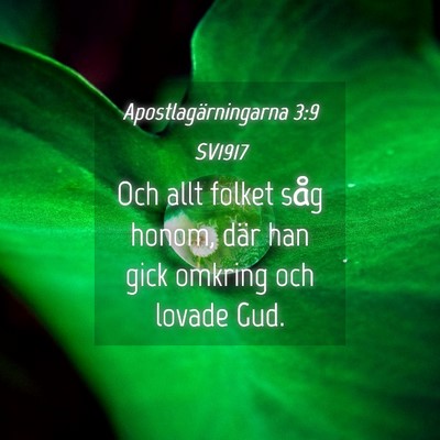 Picture 04 - Apostlagärningarna 3:9 SV1917 - Och allt folket såg honom, där han gick omkring - Bible Verse Picture