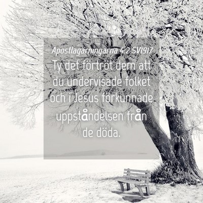 Picture 04 - Apostlagärningarna 4:2 SV1917 - Ty det förtröt dem att du undervisade folket - Bible Verse Picture