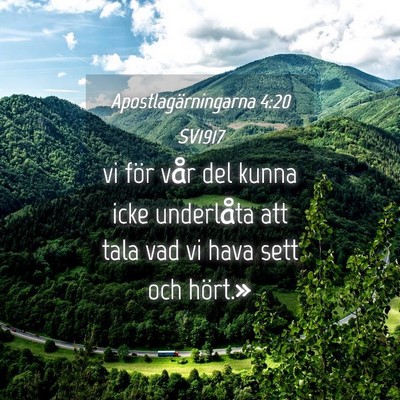 Picture 04 - Apostlagärningarna 4:20 SV1917 - vi för vår del kunna icke underlåta att tala - Bible Verse Picture
