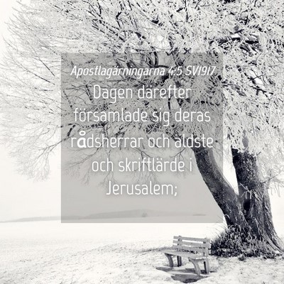 Picture 04 - Apostlagärningarna 4:5 SV1917 - Dagen därefter församlade sig deras rådsherrar - Bible Verse Picture