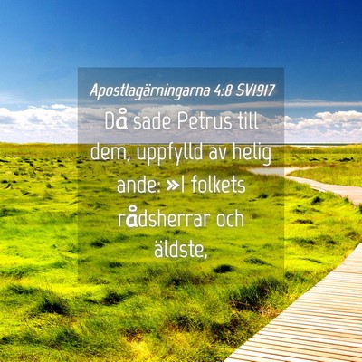 Picture 04 - Apostlagärningarna 4:8 SV1917 - Då sade Petrus till dem, uppfylld av helig ande: - Bible Verse Picture