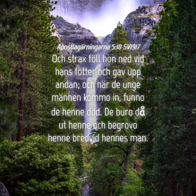 Picture 04 - Apostlagärningarna 5:10 SV1917 - Och strax föll hon ned vid hans fötter och gav - Bible Verse Picture