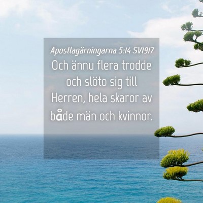 Picture 04 - Apostlagärningarna 5:14 SV1917 - Och ännu flera trodde och slöto sig till - Bible Verse Picture