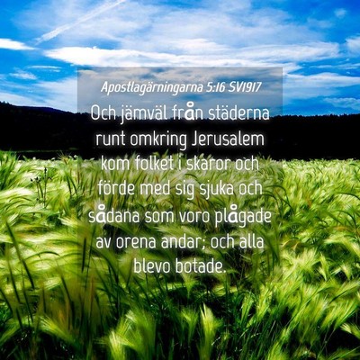 Picture 04 - Apostlagärningarna 5:16 SV1917 - Och jämväl från städerna runt omkring - Bible Verse Picture