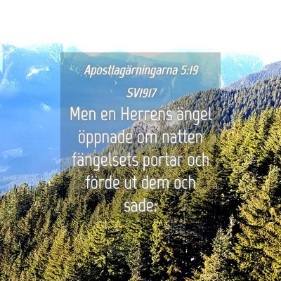 Picture 04 - Apostlagärningarna 5:19 SV1917 - Men en Herrens ängel öppnade om natten - Bible Verse Picture