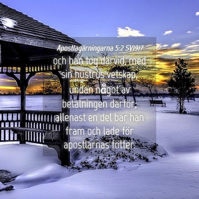 Picture 04 - Apostlagärningarna 5:2 SV1917 - och han tog därvid, med sin hustrus vetskap, - Bible Verse Picture