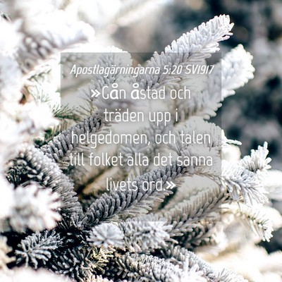 Picture 04 - Apostlagärningarna 5:20 SV1917 - »Gån åstad och träden upp i helgedomen, och - Bible Verse Picture