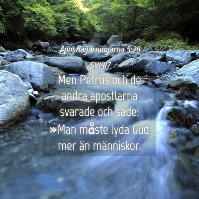 Picture 04 - Apostlagärningarna 5:29 SV1917 - Men Petrus och de andra apostlarna svarade och - Bible Verse Picture