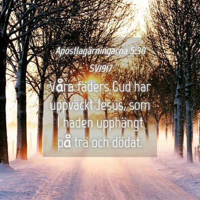 Picture 04 - Apostlagärningarna 5:30 SV1917 - Våra fäders Gud har uppväckt Jesus, som I - Bible Verse Picture