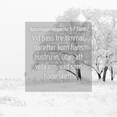 Picture 04 - Apostlagärningarna 5:7 SV1917 - Vid pass tre timmar därefter kom hans hustru in, - Bible Verse Picture
