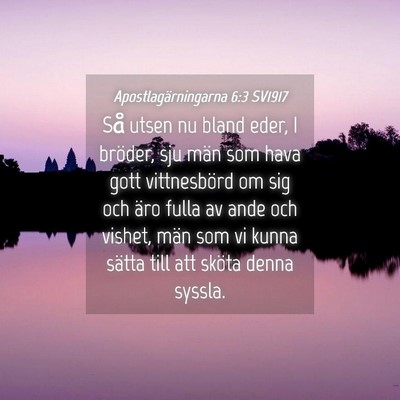 Picture 04 - Apostlagärningarna 6:3 SV1917 - Så utsen nu bland eder, I bröder, sju män som - Bible Verse Picture